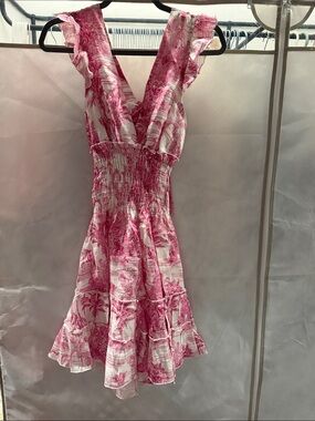 Smocked Pink Toile Ruffle V-Neck Mini Dress